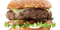 Generic placeholder image
