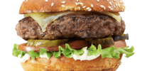 Generic placeholder image